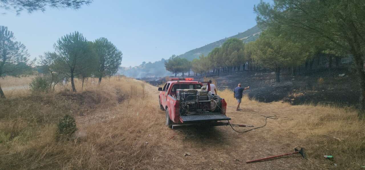 Menteşe’de Otluk Alanda Çıkan Yangın Ormana Sıçradı 5